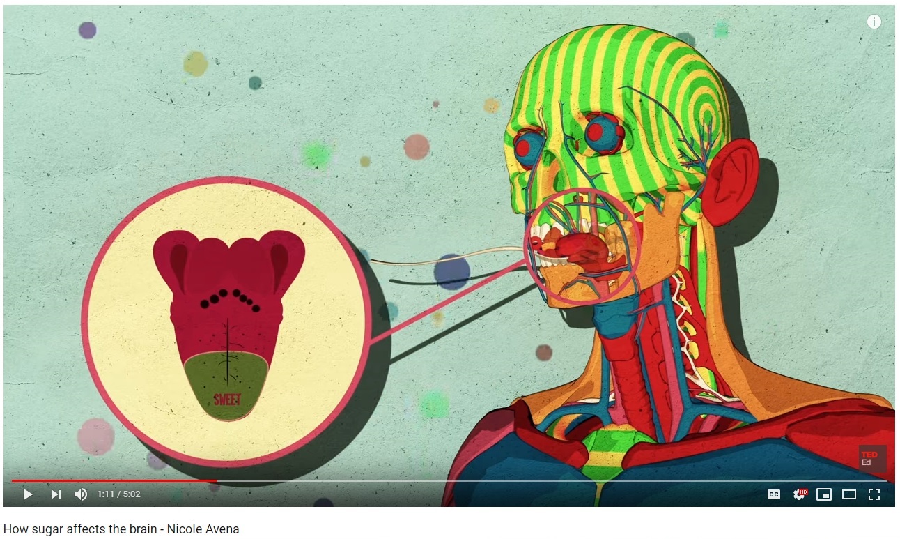 how sugar affects the brain.jpg